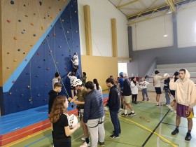 inclusao19
