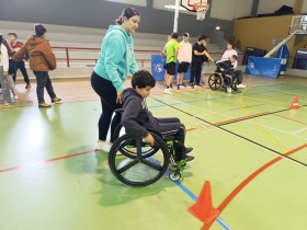 inclusao20