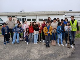 Plantao-de-rvores1