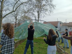 Foto_16_estufa
