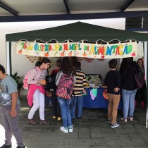 IMG_6287_pq